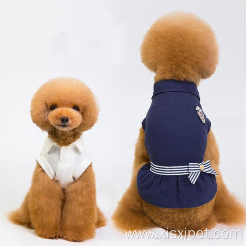 Fashionable lovable nice blank female dog dress clothes